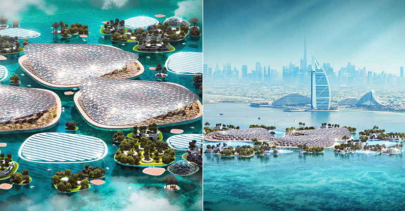 دبي تطلق "مشدّ دبي" المستدام..أحد أكبر مشاريع استزراع وإكثار الشعاب البحرية في العالم